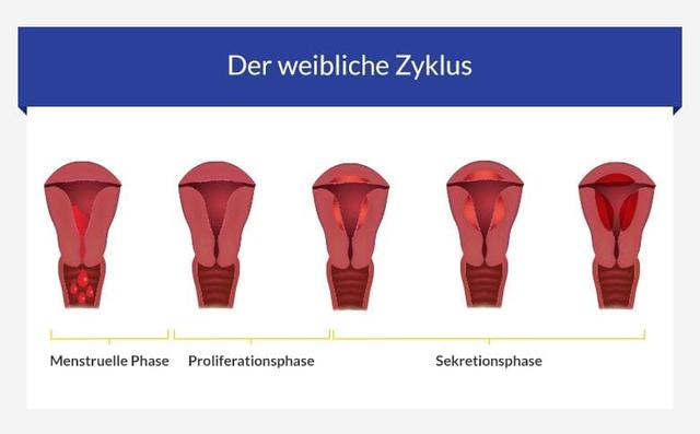 Welche Art von Blutung ist während der Pilleneinnahme normal?