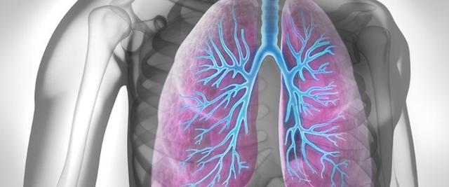 Die Rolle des Pneumologen in der Atemwegs- und Lungenheilkunde