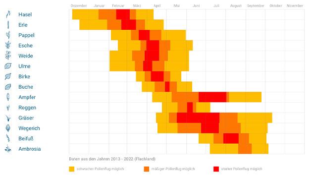 Pollenflugkalender 2023: Wann ist die Blütenstaubsaison vorbei? Pollenflugkalender 2023: Wann ist die Blütenstaubsaison vorbei?