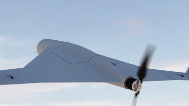 Preisinformationen zu Kamikaze-Drohnen: Was müssen Sie bezahlen?