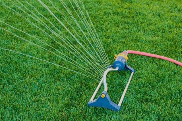 Wie lange sollte man den Rasen gießen? Wie lange sollte man den Rasen gießen?