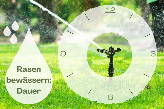 Die optimale Dauer für das Rasensprengen Die optimale Dauer für das Rasensprengen