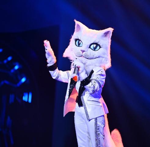 Rea Garveys Ausfall bei "The Masked Singer": Was sind die Gründe? Rea Garveys Ausfall bei "The Masked Singer": Was sind die Gründe?