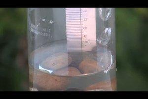 Regenmesser basteln: So geht