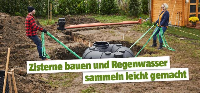 Nachhaltige Gartenbewässerung: So bauen Sie Ihren eigenen Regenwassertank