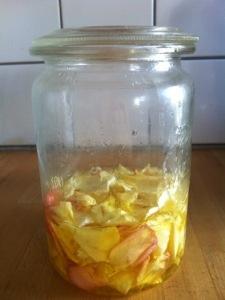 Natürliches Rosenöl aus frischen Blüten ganz einfach selber machen Natürliches Rosenöl aus frischen Blüten ganz einfach selber machen