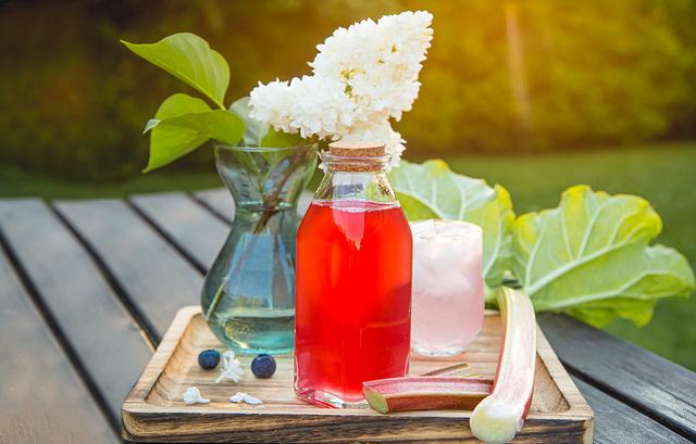 Fruchtiger DIY-Genuss: Rhabarbersaft in wenigen Schritten herstellen Fruchtiger DIY-Genuss: Rhabarbersaft in wenigen Schritten herstellen