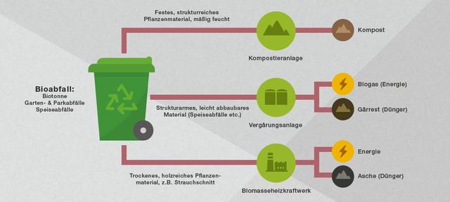 Die richtige Sortierung von Bioabfällen: Was kommt in den Biomüll?