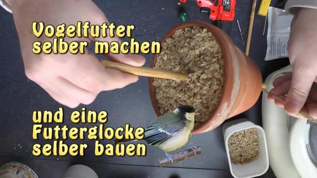 Naturnahes Vogelfüttern: Eine Futterglocke selber herstellen Naturnahes Vogelfüttern: Eine Futterglocke selber herstellen
