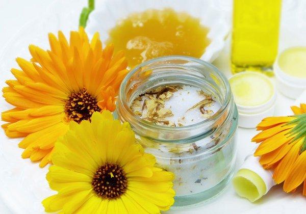 Anwendungsgebiete der heilenden Wirkung der Ringelblumensalbe im Fokus