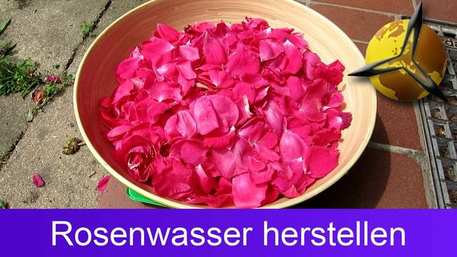 Wie lange kann man selbstgemachtes Rosenwasser aufbewahren? Wie lange kann man selbstgemachtes Rosenwasser aufbewahren?
