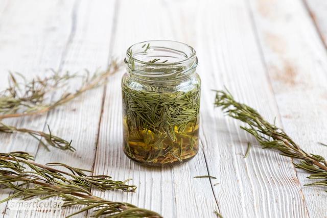 Hausgemachtes Rosmarinöl: Anwendungen und Tipps für die Herstellung