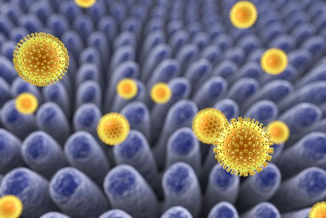 4. Schwere Verläufe von Rotavirus-Infektionen bei Kindern und Senioren 4. Schwere Verläufe von Rotavirus-Infektionen bei Kindern und Senioren