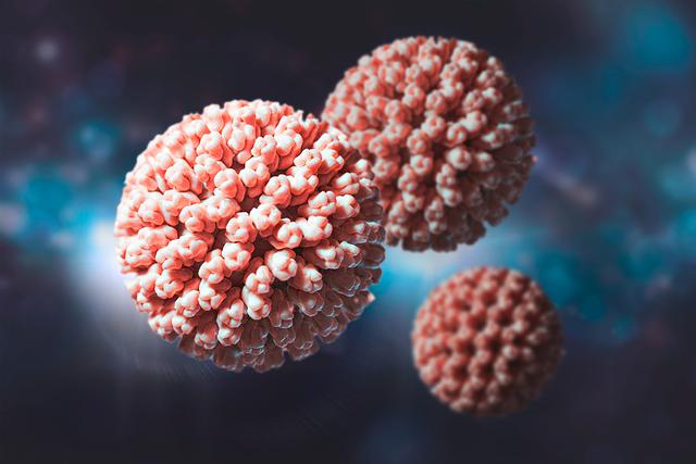 Alles, was Sie über Rotaviren wissen müssen Alles, was Sie über Rotaviren wissen müssen