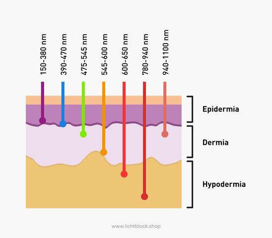 Rotlichttherapie: Wie wirkt das rote Licht auf den Körper?
