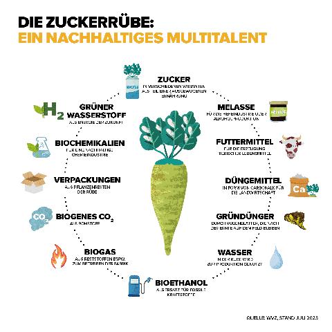 Die Herstellung von Rübenzucker: Ein natürlicher Prozess ohne Chemie Die Herstellung von Rübenzucker: Ein natürlicher Prozess ohne Chemie