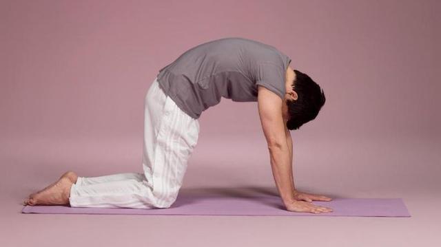 Chiropraktik für den Rücken: Selbstbehandlungsmethoden und Sicherheitshinweise