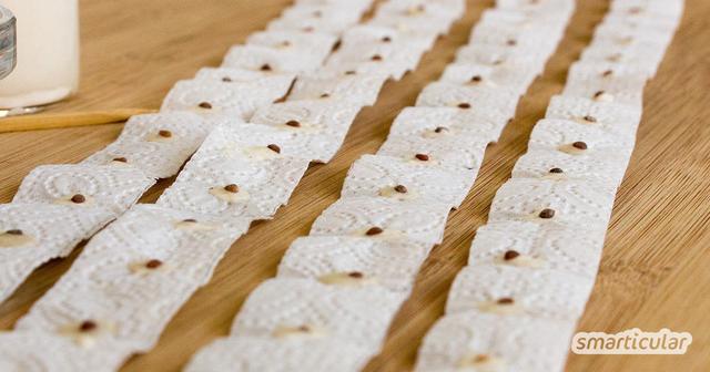 DIY Saatband: So kannst du Samenbänder ganz leicht selbst herstellen