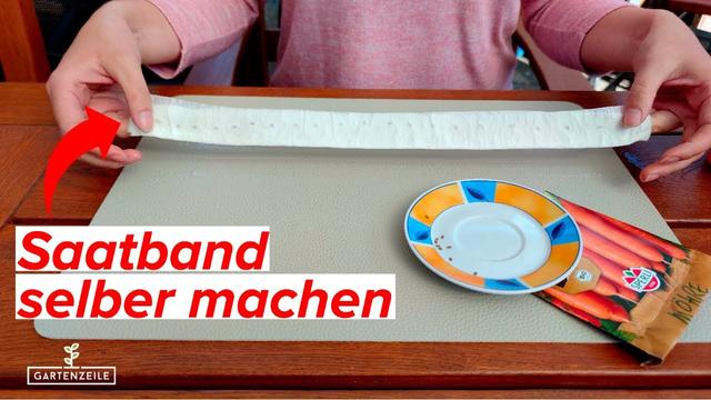 Effiziente Aussaat: Mit selbstgemachten Saatbändern den Pflanzabstand einhalten Effiziente Aussaat: Mit selbstgemachten Saatbändern den Pflanzabstand einhalten