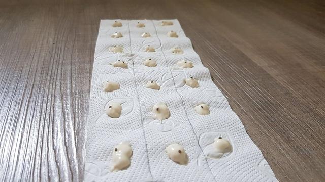 Einfache Anleitung: Saatbänder selber machen für die Aussaat im Garten Einfache Anleitung: Saatbänder selber machen für die Aussaat im Garten
