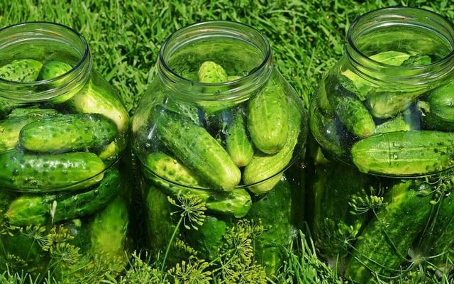 Saure Gurken selber machen: Schnelles und einfaches Rezept Saure Gurken selber machen: Schnelles und einfaches Rezept