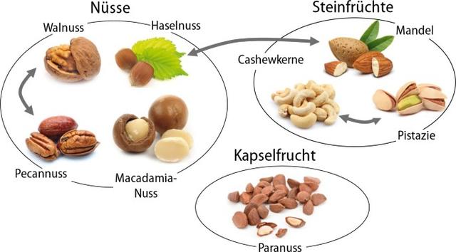 Nuss-Allergie und Kreuzreaktionen: Symptome und Diagnose