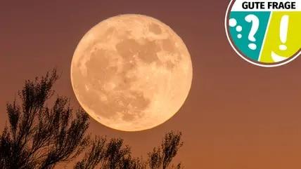 Vollmond und Schlafprobleme: Gibt es einen wissenschaftlichen Zusammenhang? Vollmond und Schlafprobleme: Gibt es einen wissenschaftlichen Zusammenhang?