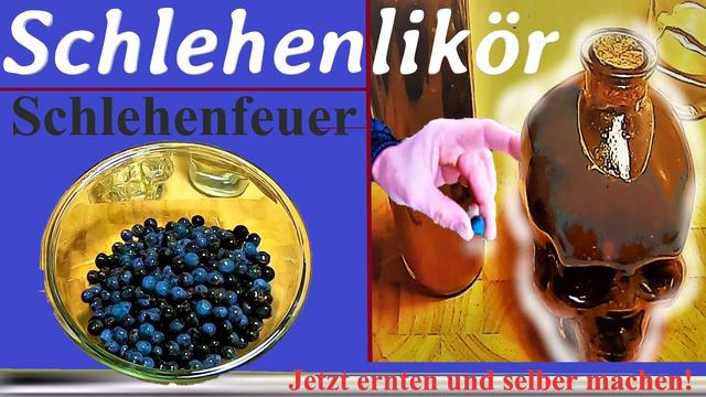 Schlehenlikör selber herstellen: Die besten Methoden und Gewürzvariationen Schlehenlikör selber herstellen: Die besten Methoden und Gewürzvariationen