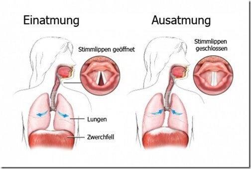 Schluckauf loswerden: Tipps und Tricks, wenn er nicht aufhört Schluckauf loswerden: Tipps und Tricks, wenn er nicht aufhört