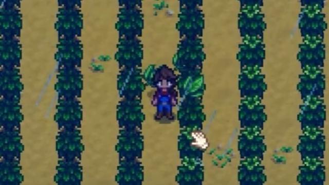 Geldsorgen adé: Mit diesen Methoden wirst du in Stardew Valley steinreich