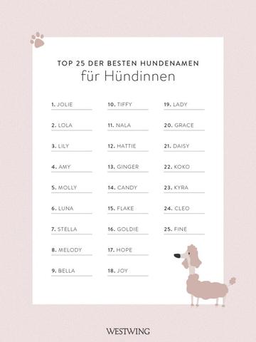 Hundenamen mit Sinn: Wählen Sie einen Namen, der zu Ihrem Hund passt
