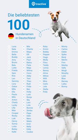 Schöne Hundenamen mit Bedeutung: Finden Sie den perfekten Namen für Ihren neuen Hund