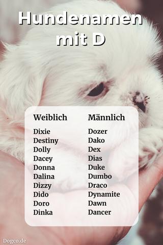 Die Bedeutung von Hundenamen: Tipps und Inspiration für die Namenswahl