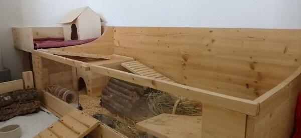 Bauanleitung für ein artgerechtes Meerschweinchen Gehege Bauanleitung für ein artgerechtes Meerschweinchen Gehege