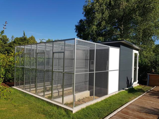 Praktisch und individuell: Eine maßgeschneiderte Vogelvoliere bauen Praktisch und individuell: Eine maßgeschneiderte Vogelvoliere bauen