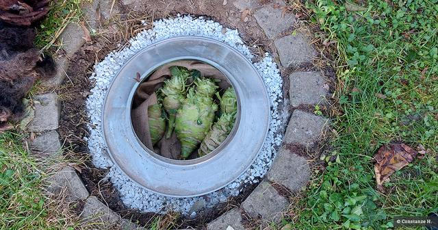 Upgrade für den Garten: DIY-Projekt Erdkühlschrank mit natürlicher Kühlung