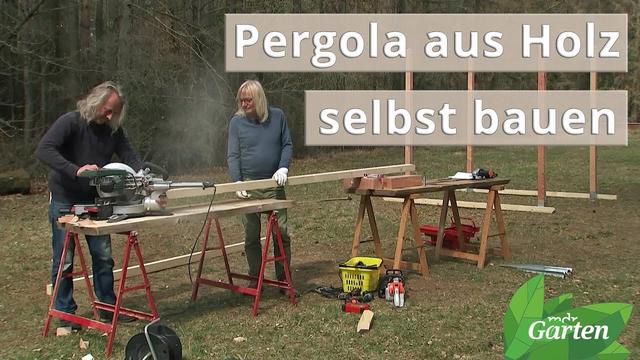 Video-Workshop: Bauanleitung für eine individuelle Rankhilfe oder Pergola Video-Workshop: Bauanleitung für eine individuelle Rankhilfe oder Pergola