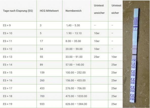 Ab wann ist ein Schwangerschaftstest mit einer Sensibilität von 10 miu/ml aussagekräftig? Ab wann ist ein Schwangerschaftstest mit einer Sensibilität von 10 miu/ml aussagekräftig?