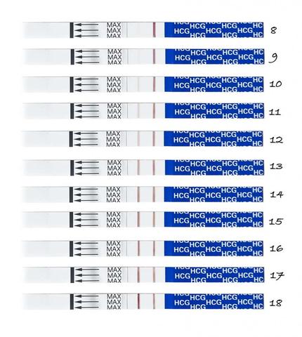 Ab wann kann ein Schwangerschaftstest mit 10 miu/ml durchgeführt werden?