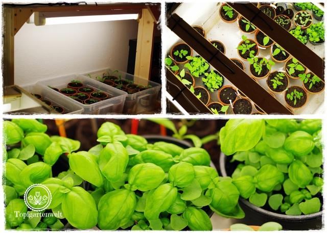 Die beste Beleuchtung für deine selbstgebaute Growbox: LED Pflanzenlampen Die beste Beleuchtung für deine selbstgebaute Growbox: LED Pflanzenlampen