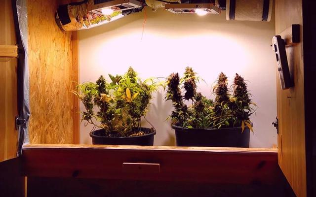 Kleiderschrank als Grundlage für eine selbstgebaute Growbox nutzen Kleiderschrank als Grundlage für eine selbstgebaute Growbox nutzen
