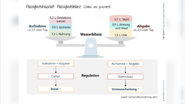 Flüssigkeitszufuhr bei krebskranken Personen: Wie viel Wasser sollte täglich getrunken werden, um den Flüssigkeitsverlust auszugleichen? Flüssigkeitszufuhr bei krebskranken Personen: Wie viel Wasser sollte täglich getrunken werden, um den Flüssigkeitsverlust auszugleichen?