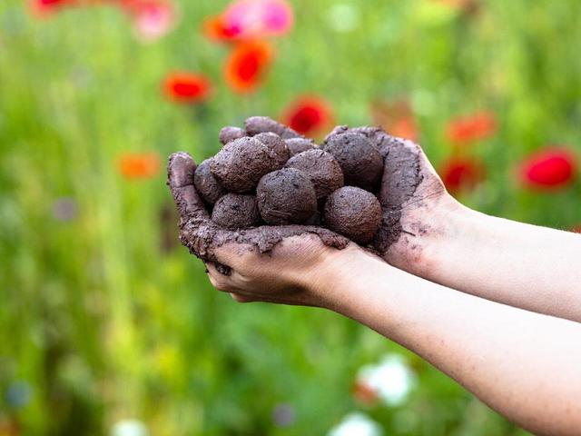 Nachhaltige Guerilla-Gardening-Technik: Seedbombs einfach selbst herstellen