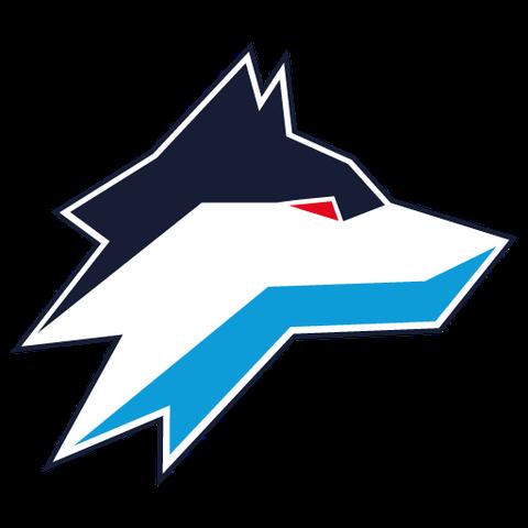 Spannende Begegnungen: Der Spielplan der Selber Wölfe Spannende Begegnungen: Der Spielplan der Selber Wölfe