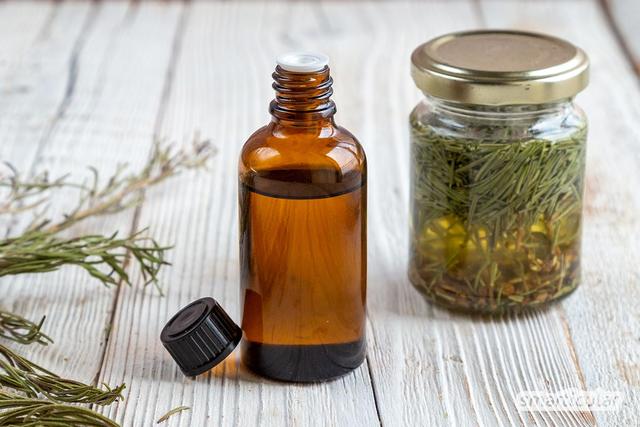 Natürliches Rosmarinöl selbst gemacht: Tipps und Tricks Natürliches Rosmarinöl selbst gemacht: Tipps und Tricks