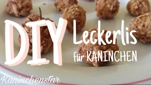 Gesunde Snacks für Kaninchen: Rezeptideen zum Selbermachen Gesunde Snacks für Kaninchen: Rezeptideen zum Selbermachen