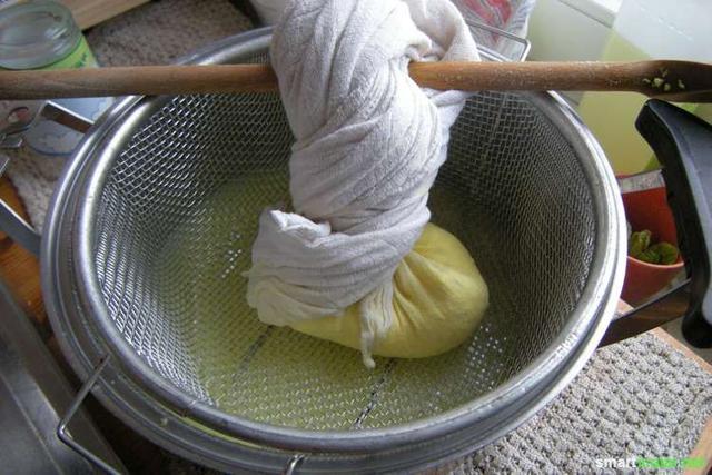 Gesunder Genuss: Paneer selber herstellen Gesunder Genuss: Paneer selber herstellen
