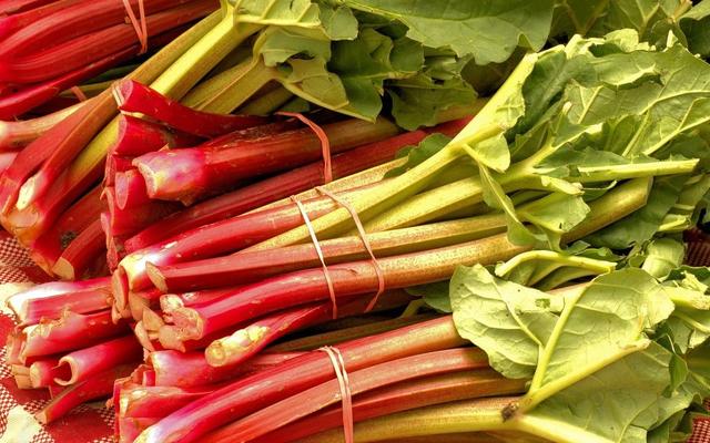 Rhabarbersaft zum Mixen: Eine vielseitige Verwendungsmöglichkeit für Ihr selbstgemachtes Getränk Rhabarbersaft zum Mixen: Eine vielseitige Verwendungsmöglichkeit für Ihr selbstgemachtes Getränk