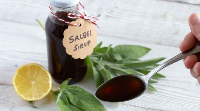 Salbei-Sirup aus frischen Blättern: Eine einfache Anleitung zur Herstellung Salbei-Sirup aus frischen Blättern: Eine einfache Anleitung zur Herstellung