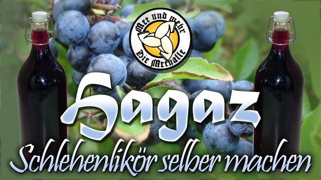 Kreativ werden in der Küche: Schlehenlikör selbst herstellen Kreativ werden in der Küche: Schlehenlikör selbst herstellen
